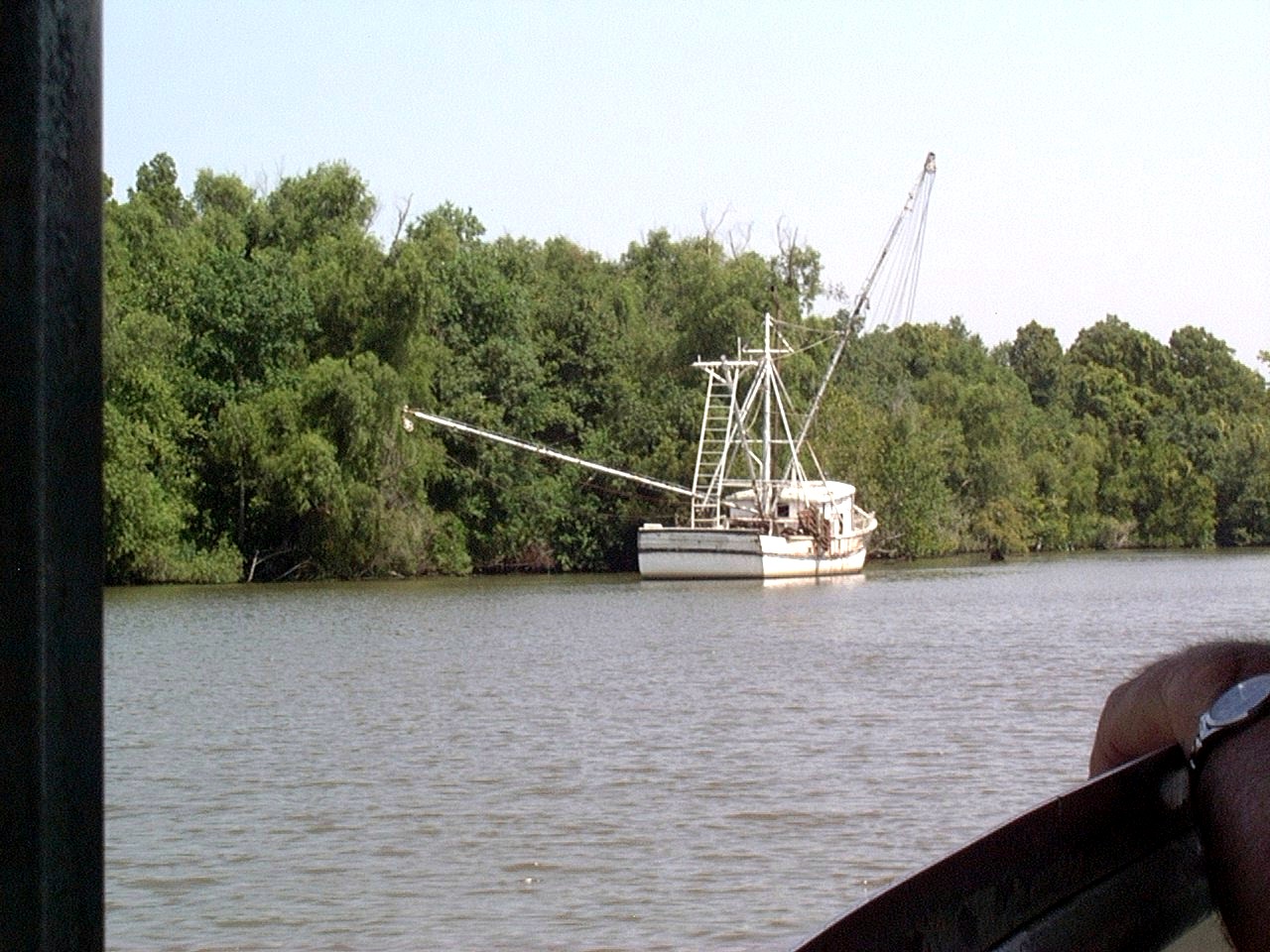 ../Images/8-2-02 Cypress Swamp Tour 40.jpg